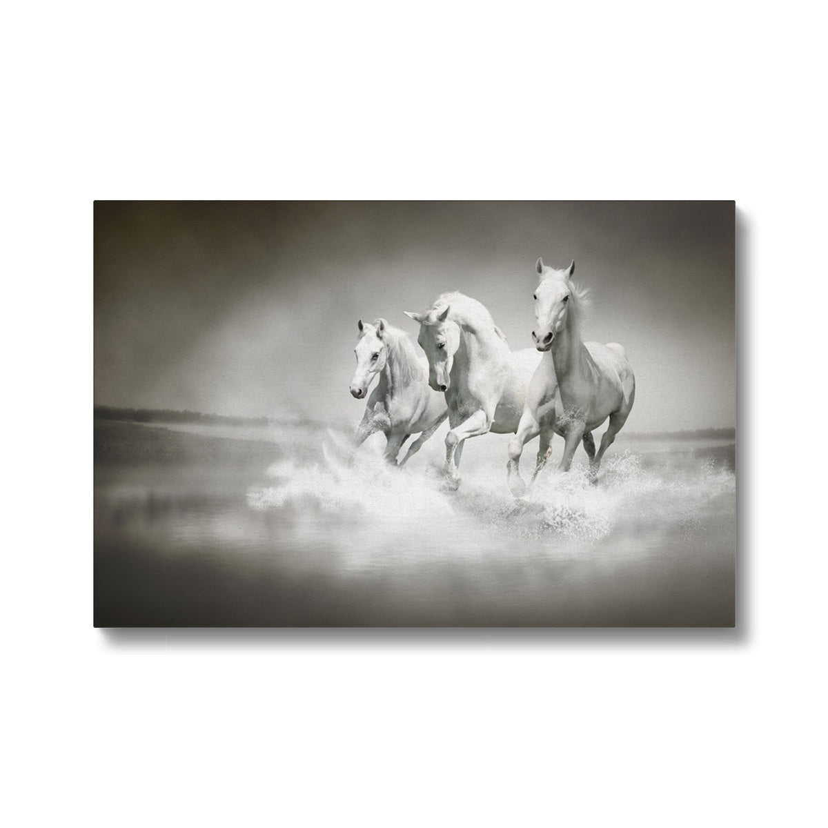 Three White Horses Canvas