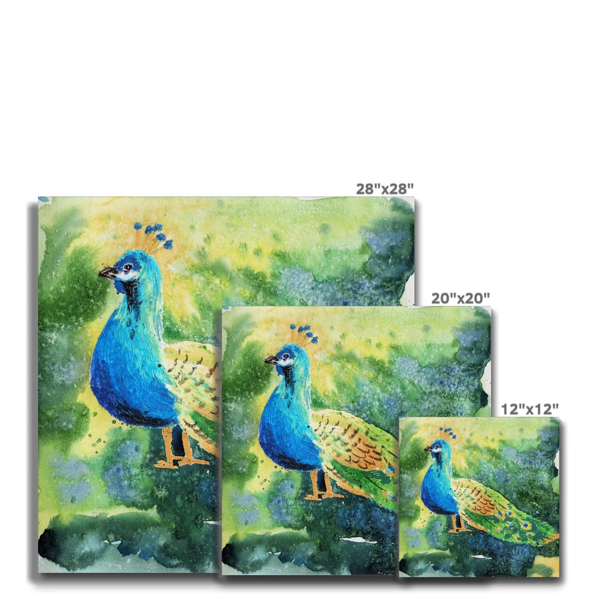 Charming Peacock Oil Portrait Canvas