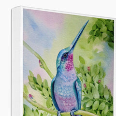 Hummingbird Gazing Upward Canvas