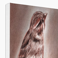 Small Sparrow Painting Canvas
