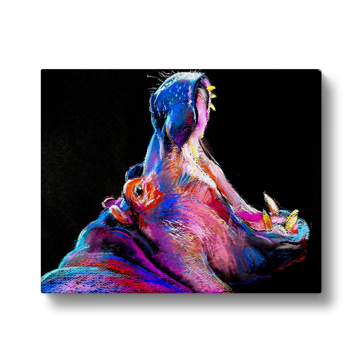 Multicolor Hippopotamus Canvas