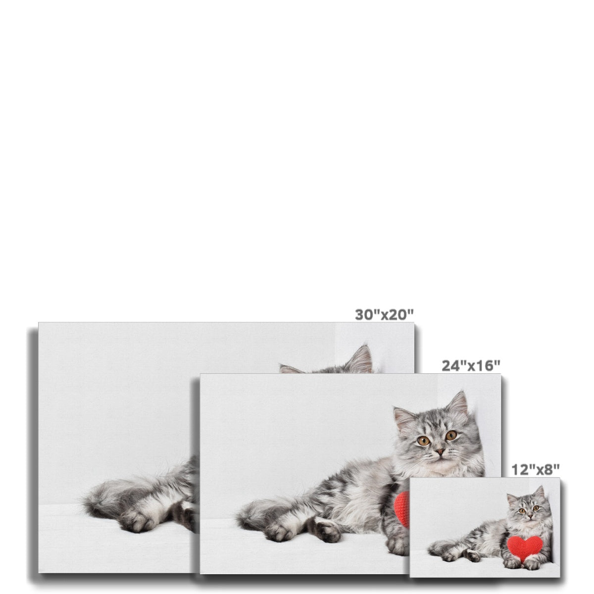 White & Grey Abstract Cat Oil Painting  Canvas