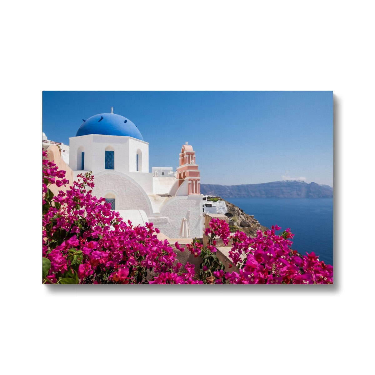 Pink Flower & Blue Dome Church Santorini Canvas