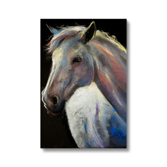 Magnificent Horse Portrait Canvas