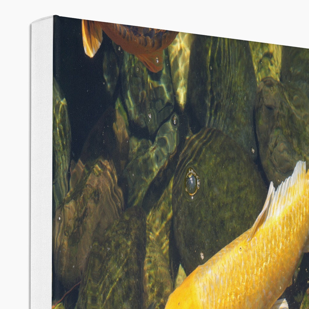 Ethereal Yellow Koi Fish Canvas