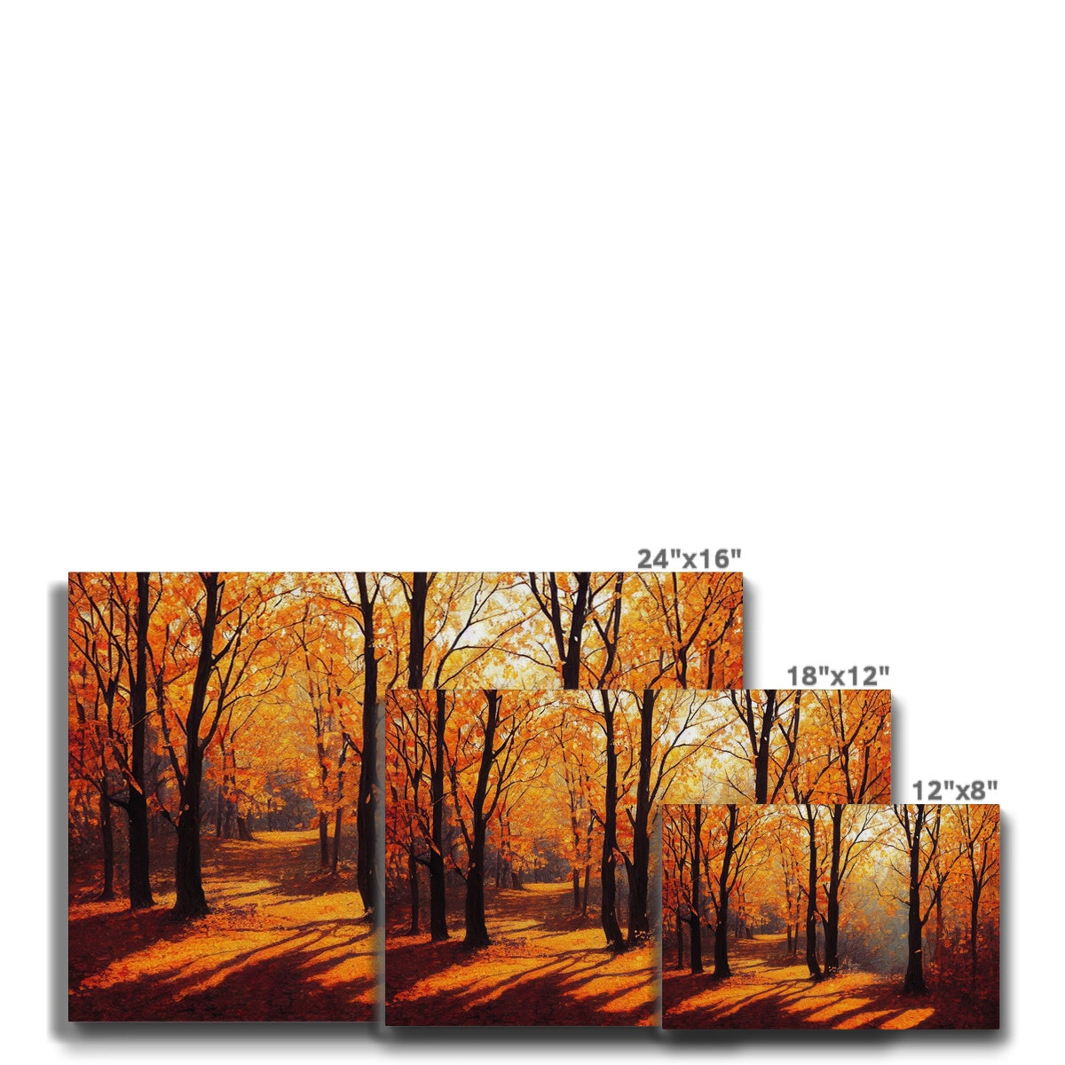 Autumn Fall Sunny Day Art Canvas