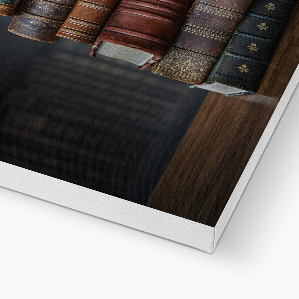 Books Library Wall Art Canvas