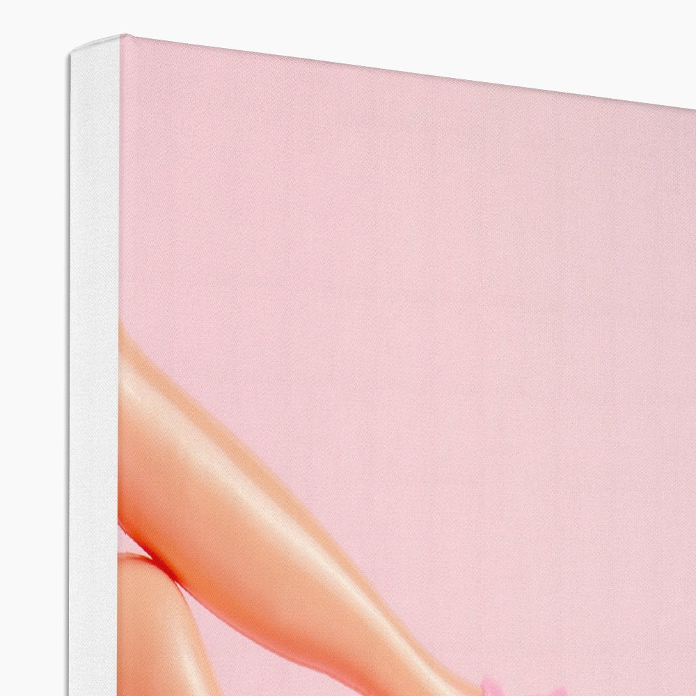 Aesthetic Barbie & Bag Canvas