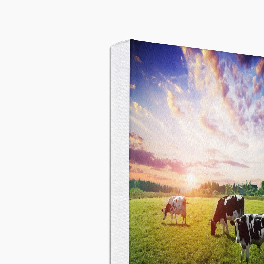 Sunrise & Cow Herd Art Canvas