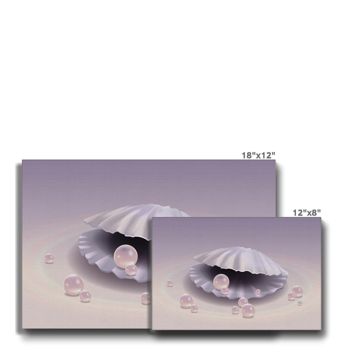 Pearlescent Oyster Shells  Canvas