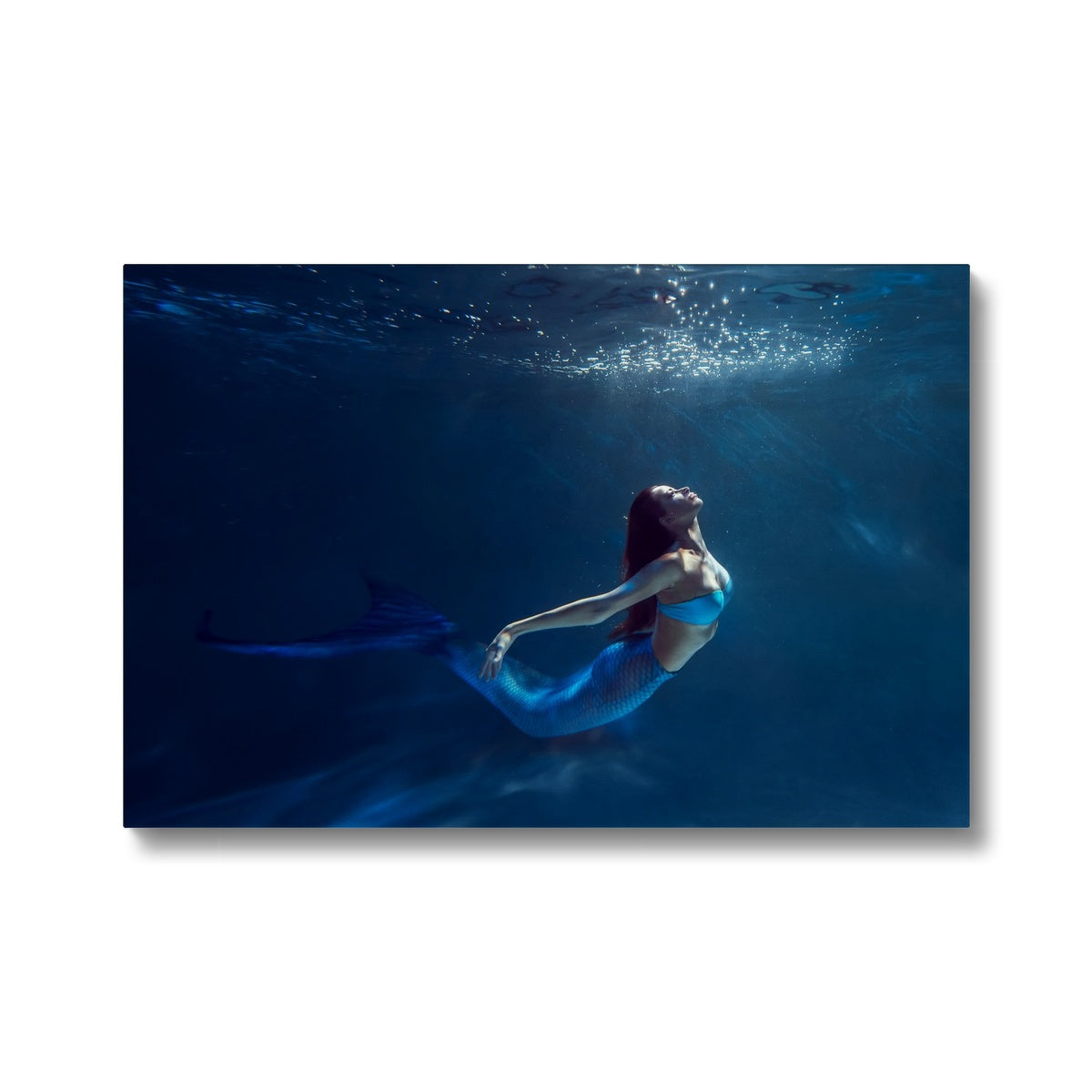 Mermaid, Marine Goddess Art Canvas