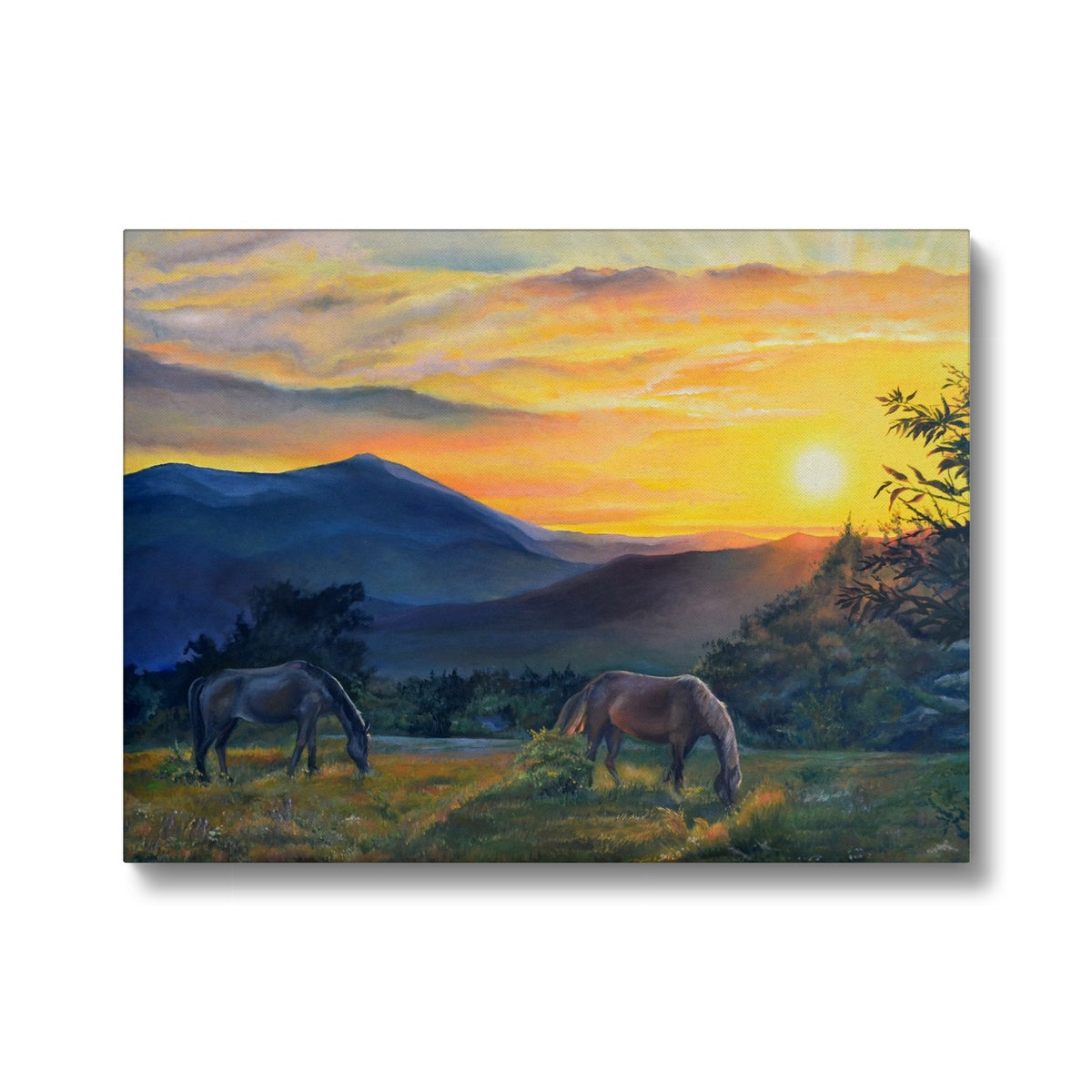 Horses & Sunset Scenery  Canvas