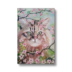 Cat & Cherry Blossoms Canvas