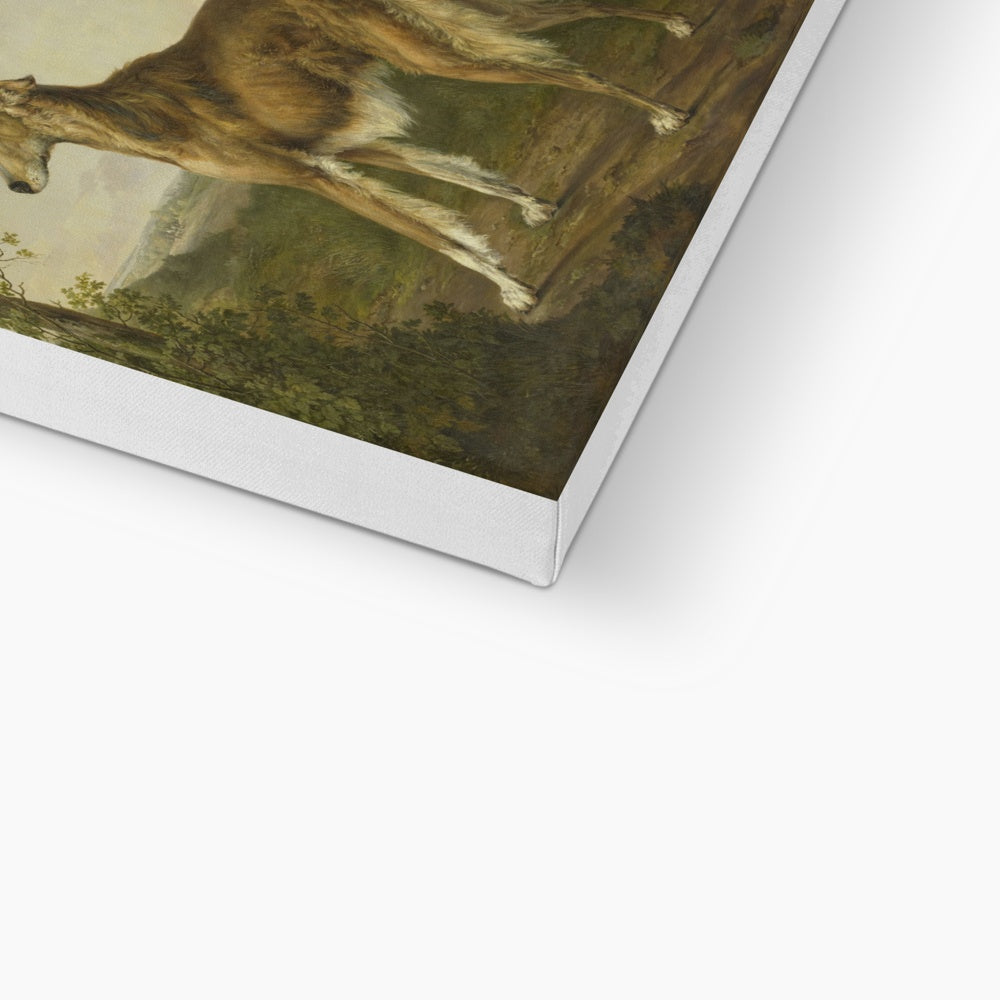 Borzoi Dog Period Portrait Canvas