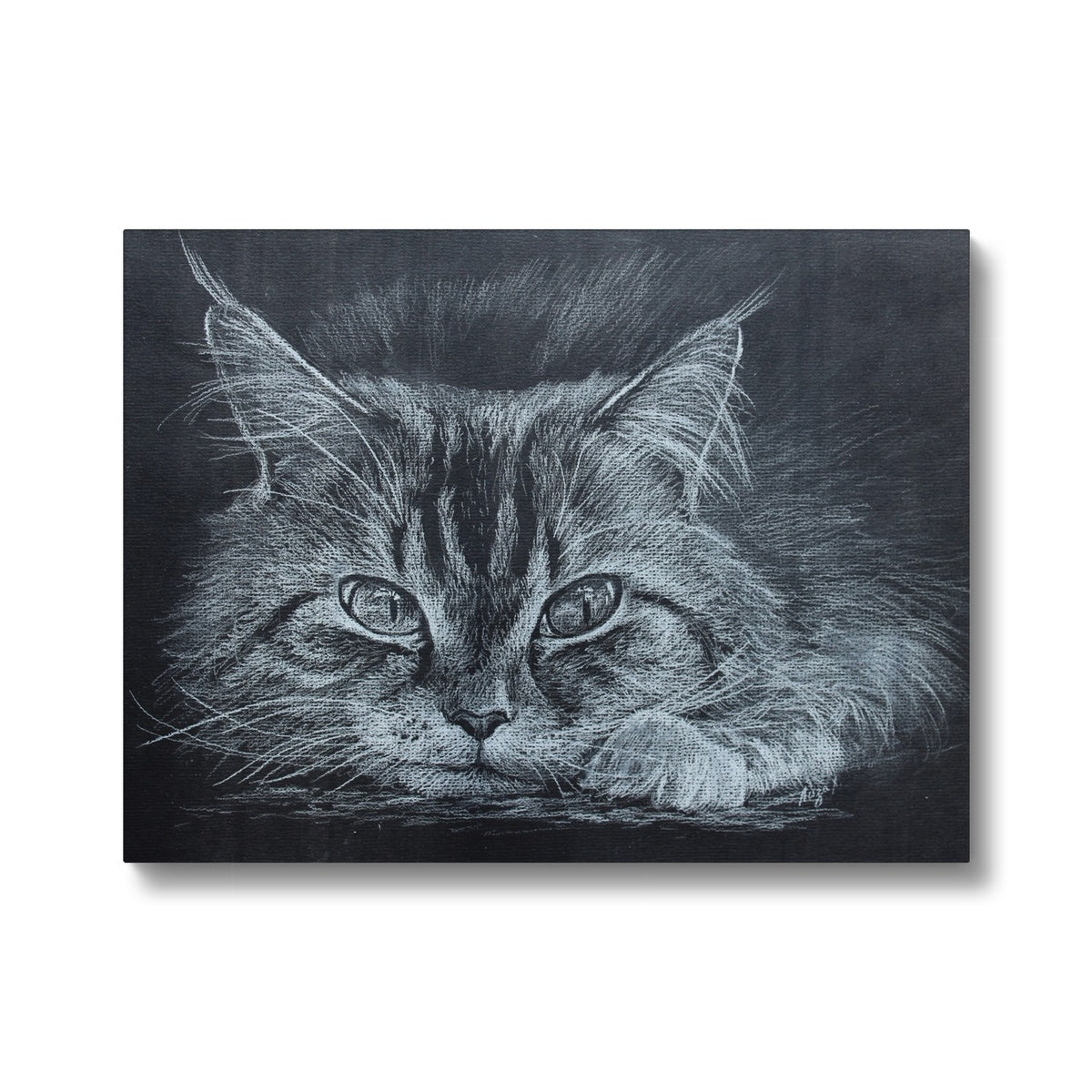 Black & White Chalk Sketch Of Cat Canvas