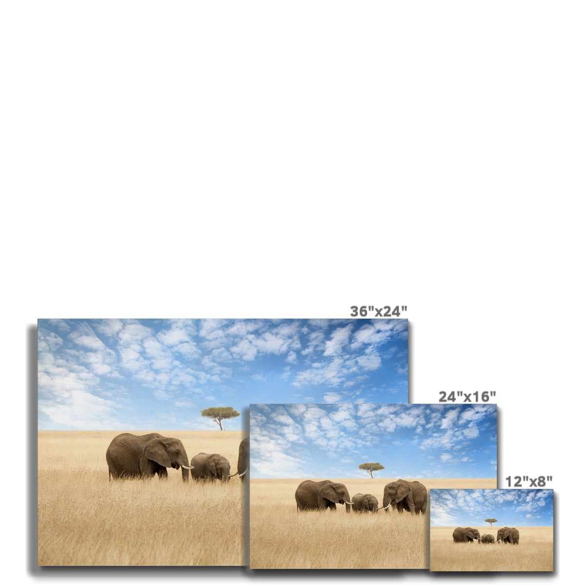 Nature  & Red Oat Grass Art Canvas