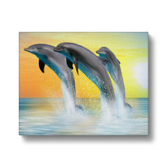 Aquatic Beauty by Dolphins Canvas