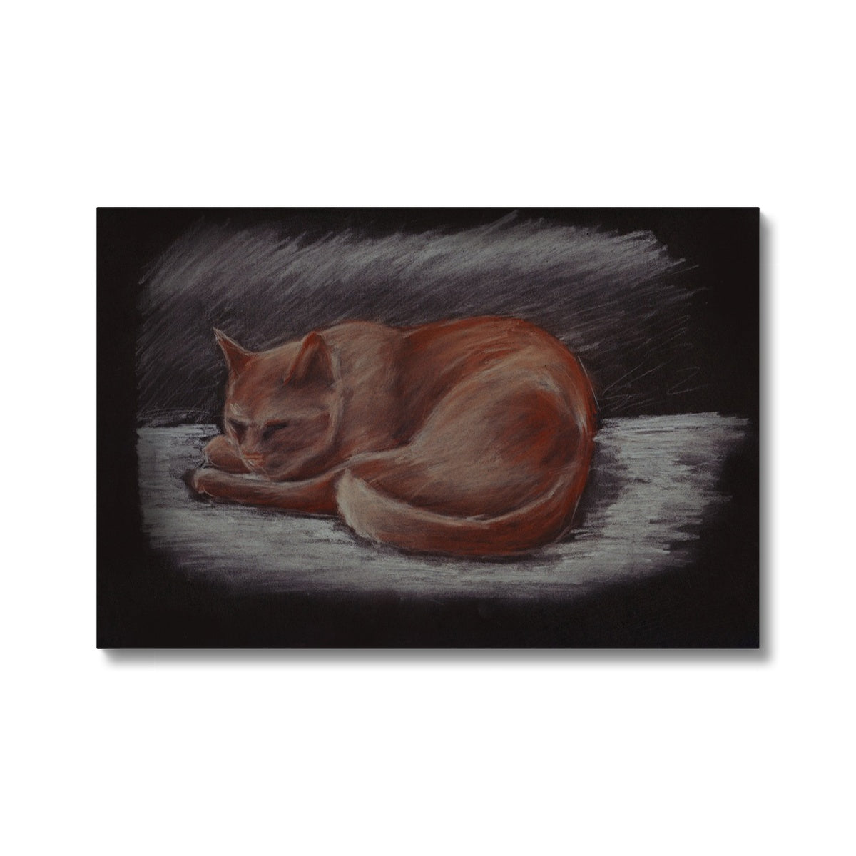 Orange Cat Sleeping Painting Canvas