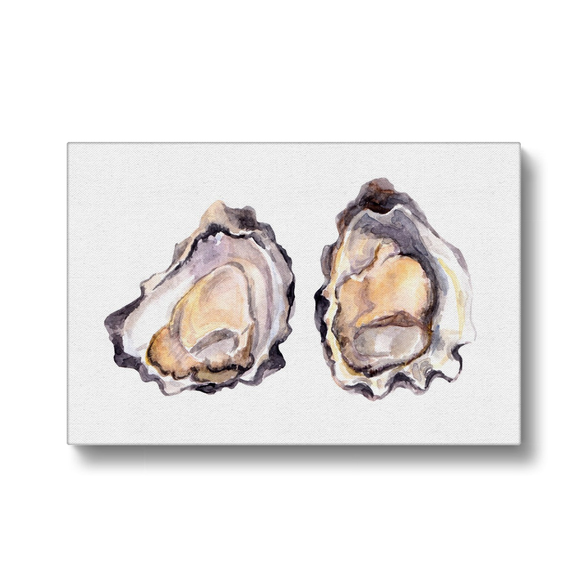 Oyster Shell Art  Canvas