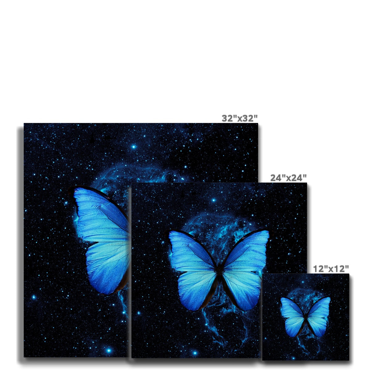 Twilight Butterfly Grace Canvas