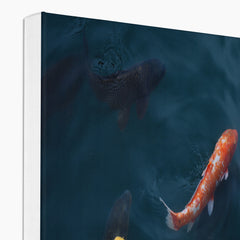 Fascinating Yellow & Pink Koi Fish Canvas