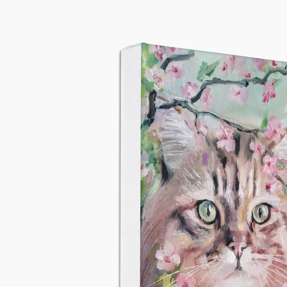 Cat & Cherry Blossoms Canvas