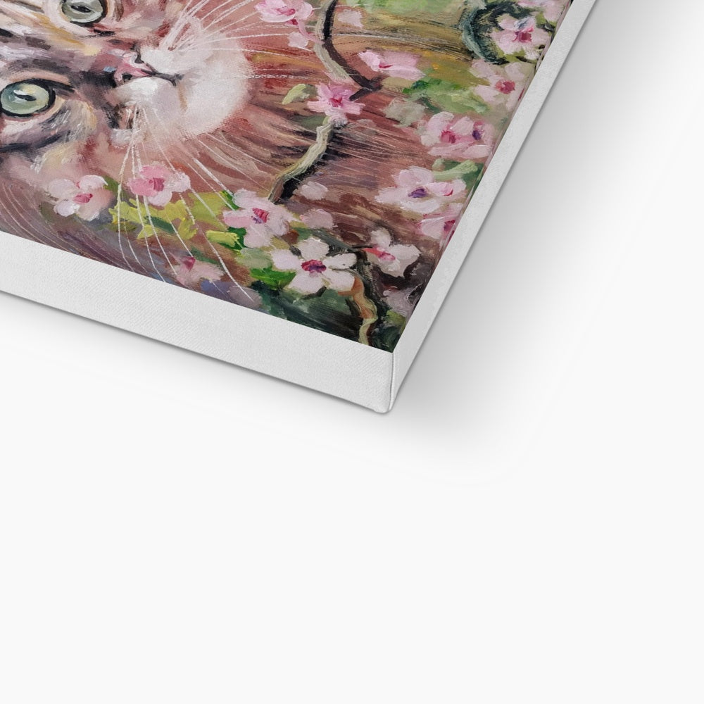 Cat & Cherry Blossoms Canvas