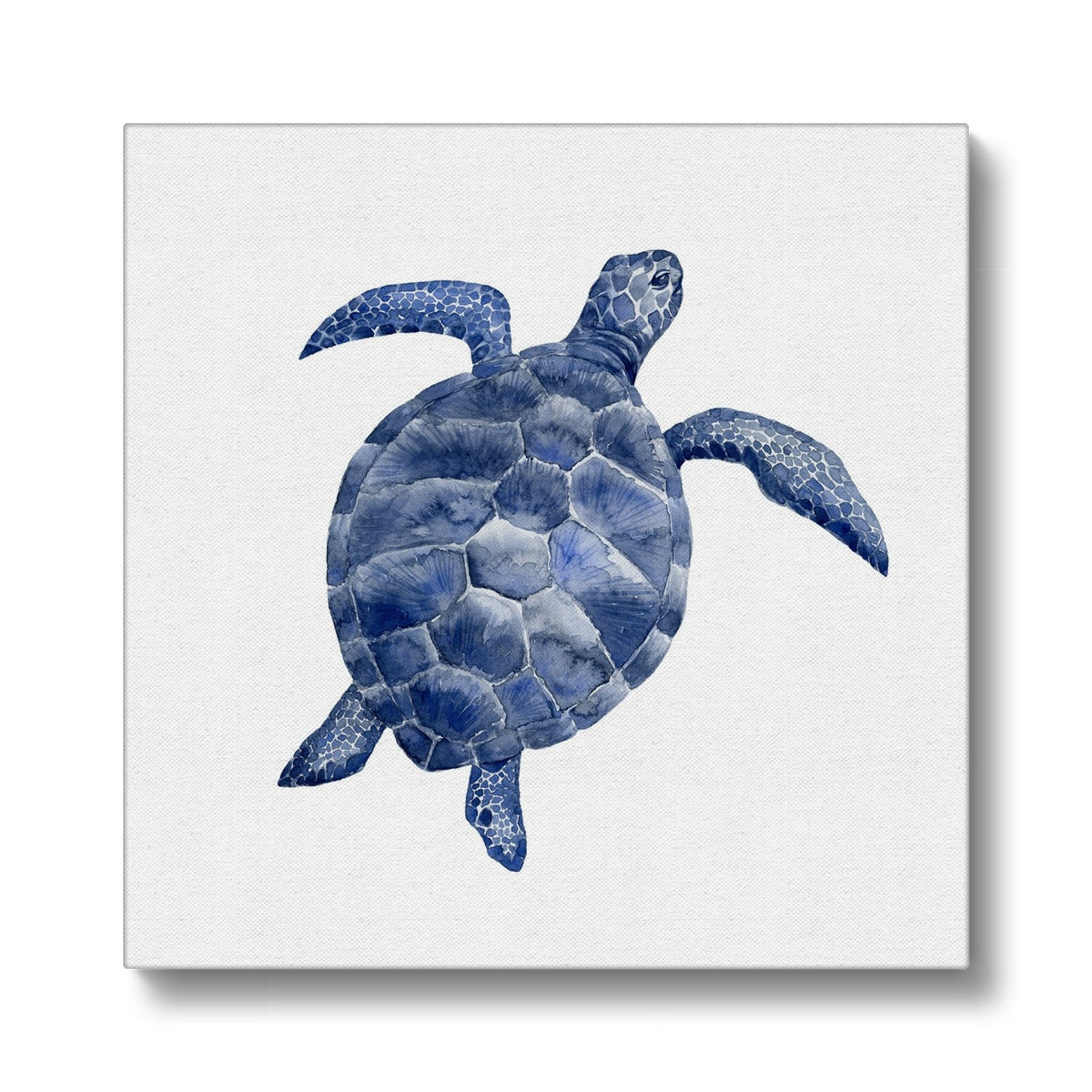 Tranquil Turtle Seascapes Canvas