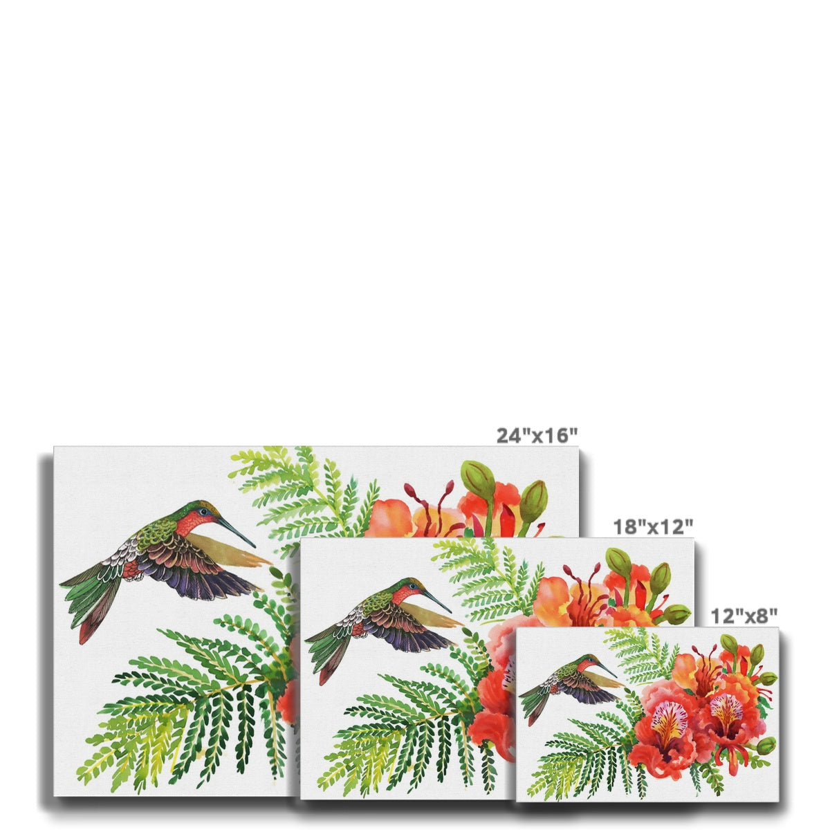 Humming Bird & Florals Canvas