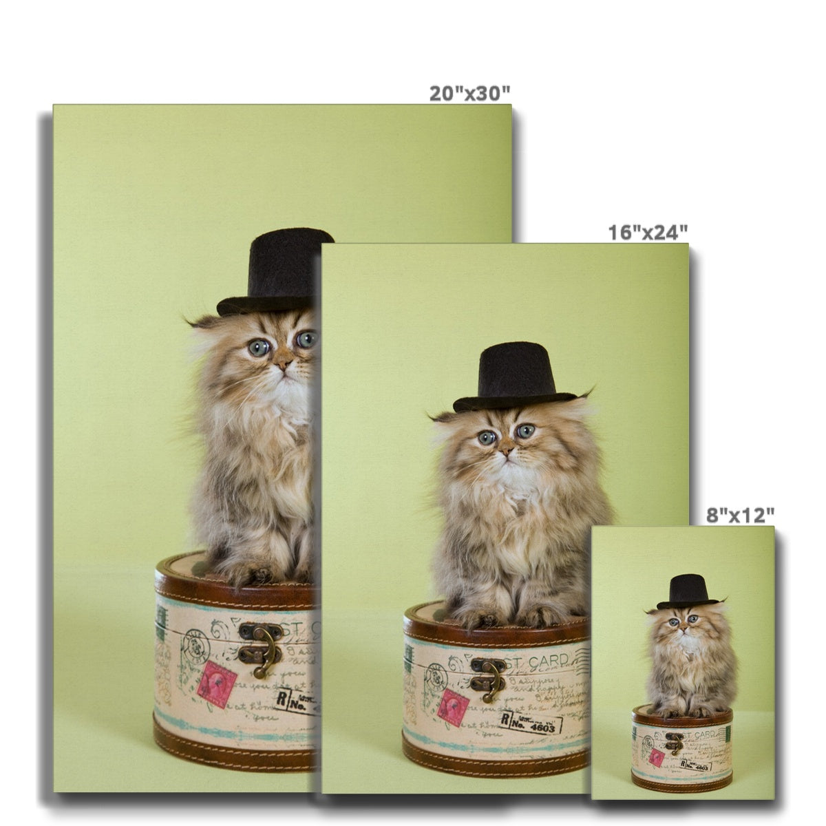 Golden Cat Top Hat Canvas