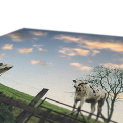 Peaceful Cow Herd Canvas