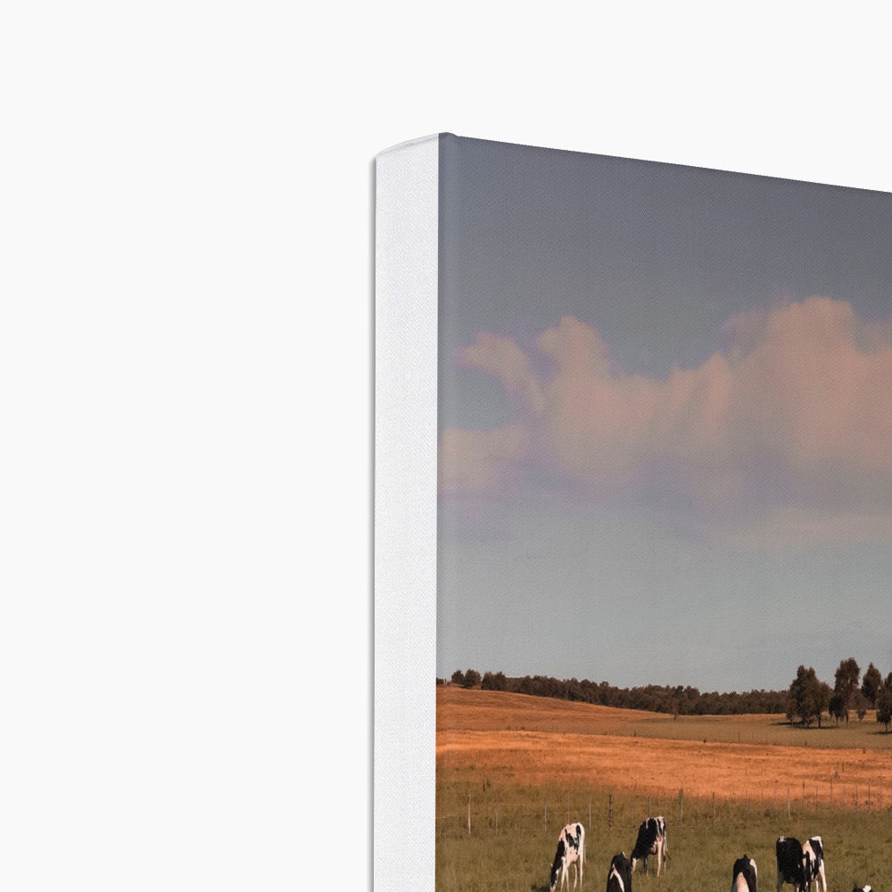 Sunset & Cow Herd Painting Canvas