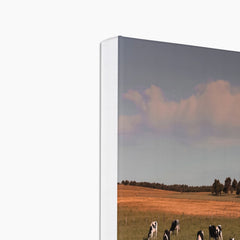 Sunset & Cow Herd Painting Canvas