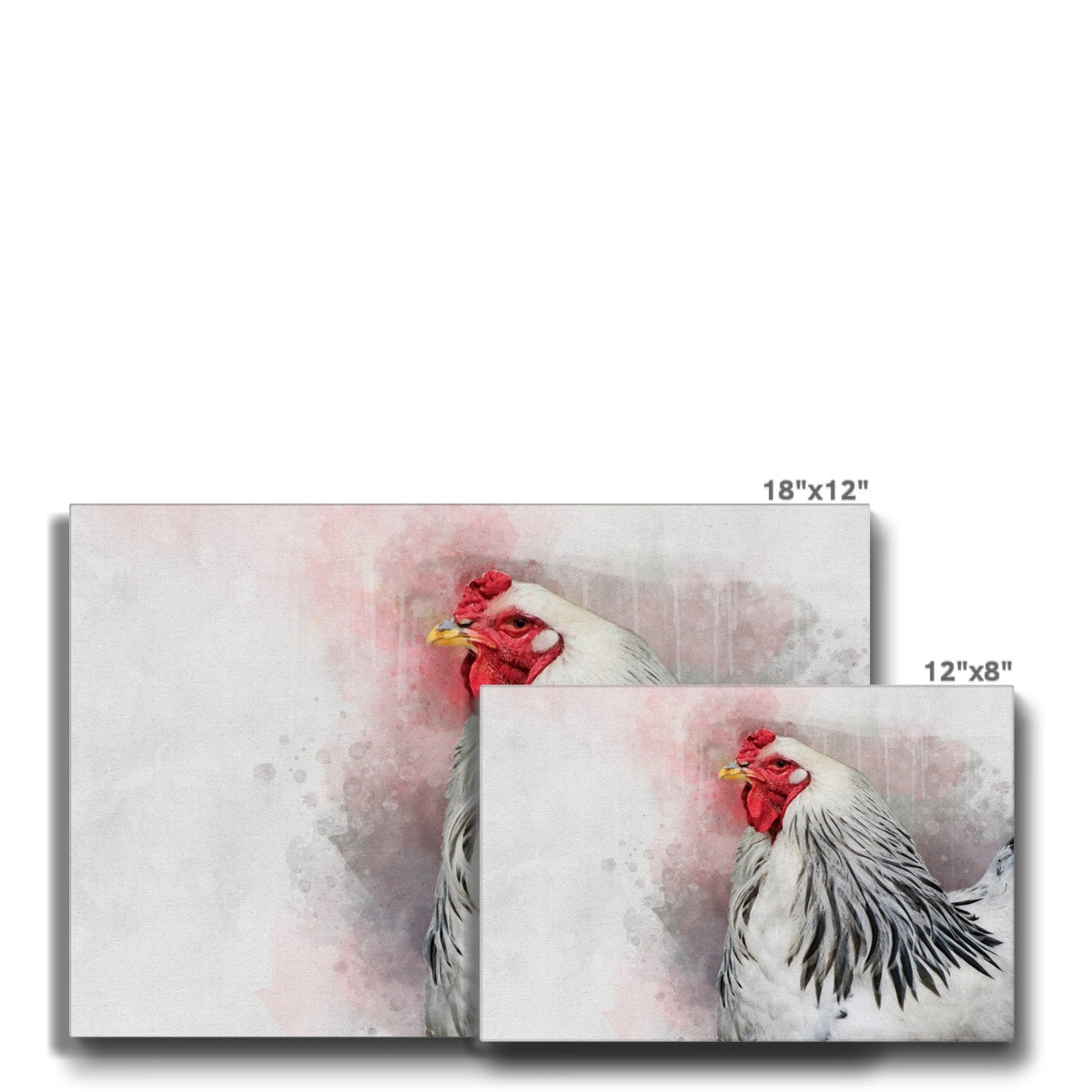 Elegant White Chicken Portrait Canvas