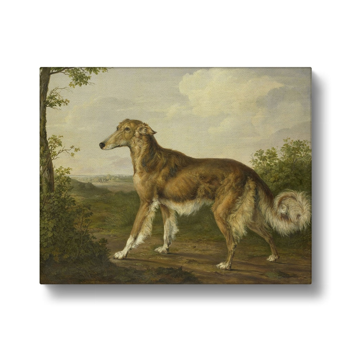 Borzoi Dog Period Portrait Canvas