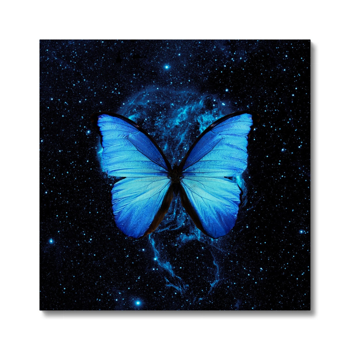 Twilight Butterfly Grace Canvas