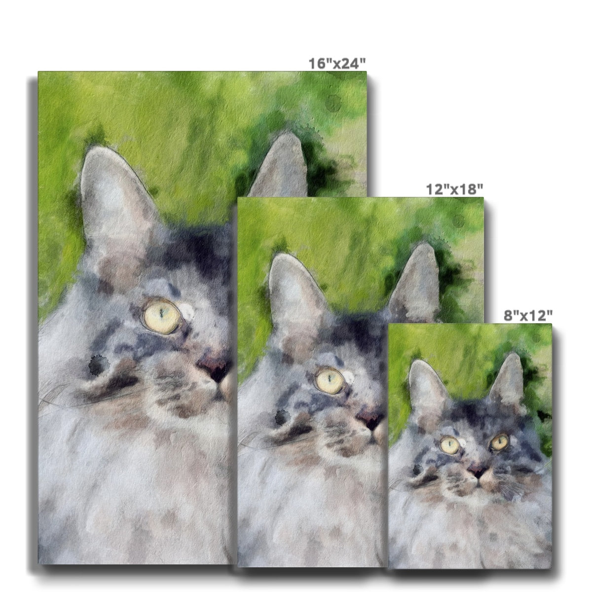 Impressive Gray Cat Portrait Canvas