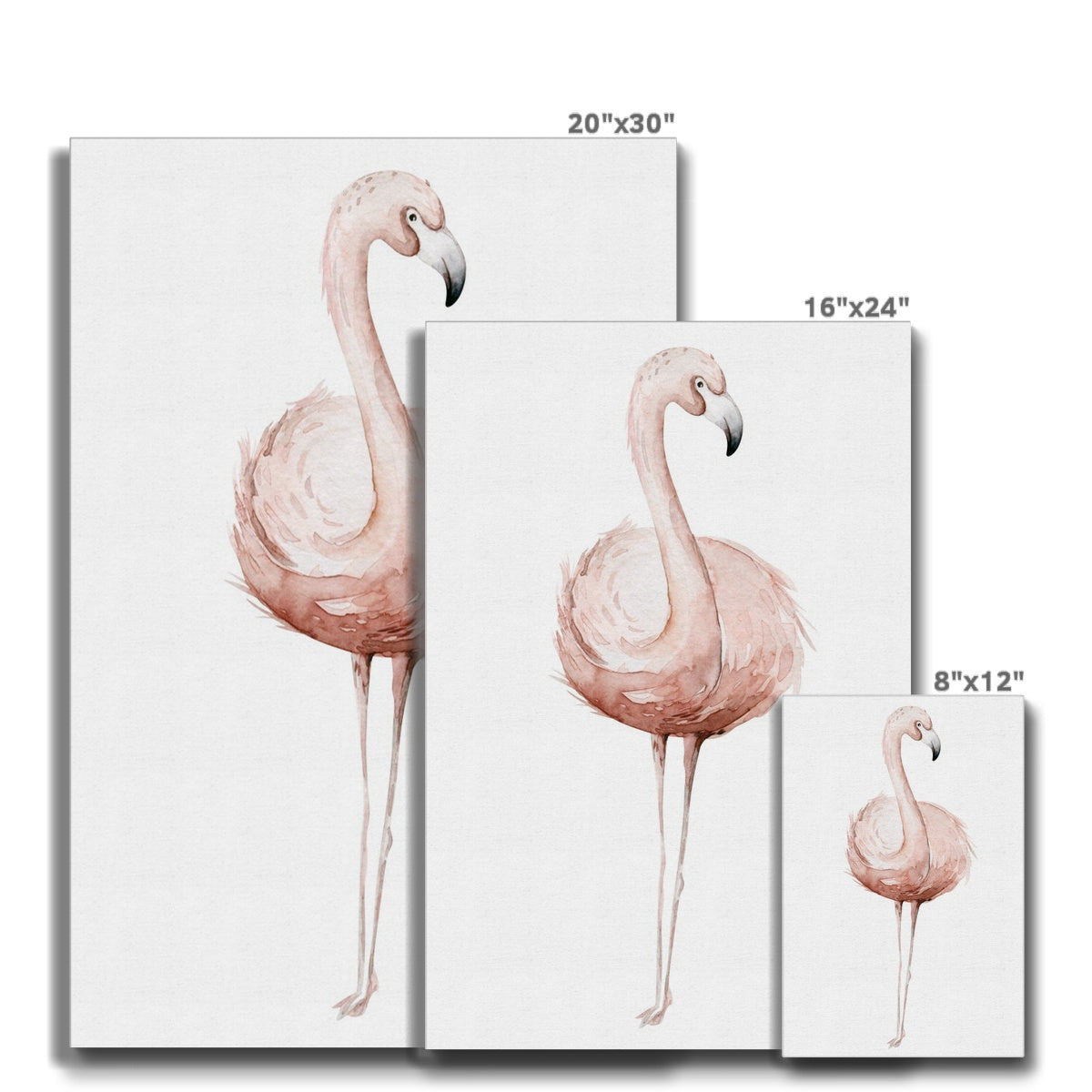 Impeccable Flamingo Painting Canvas