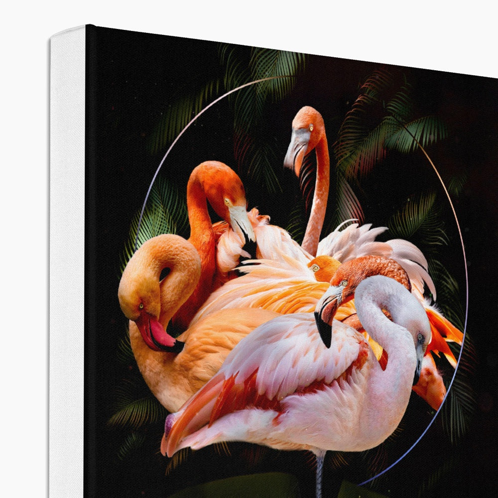 Striking Flamingo Wall Art  Canvas