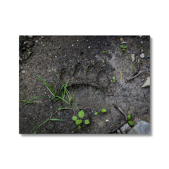 Nature's Mud Artistry Canvas