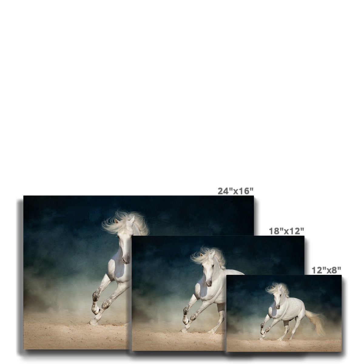 Enchanting White Horse Beauty Canvas