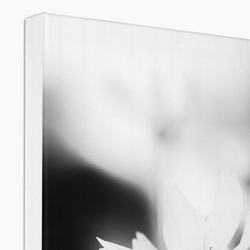 Black & White Steppe Flower Beauty  Canvas