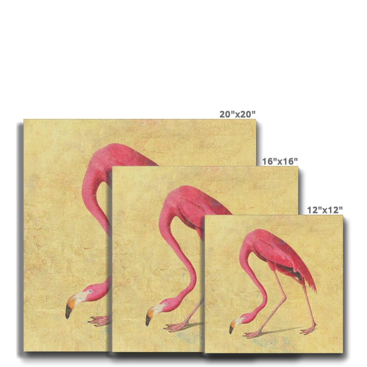 Pink Flamingo Portrait Canvas