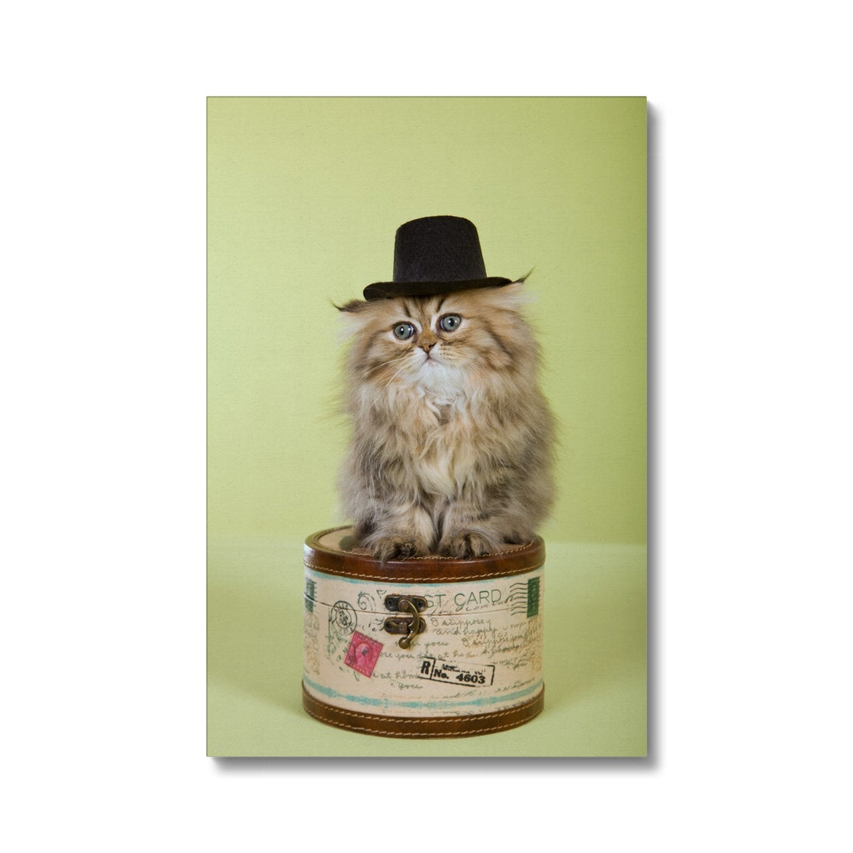 Golden Cat Top Hat Canvas