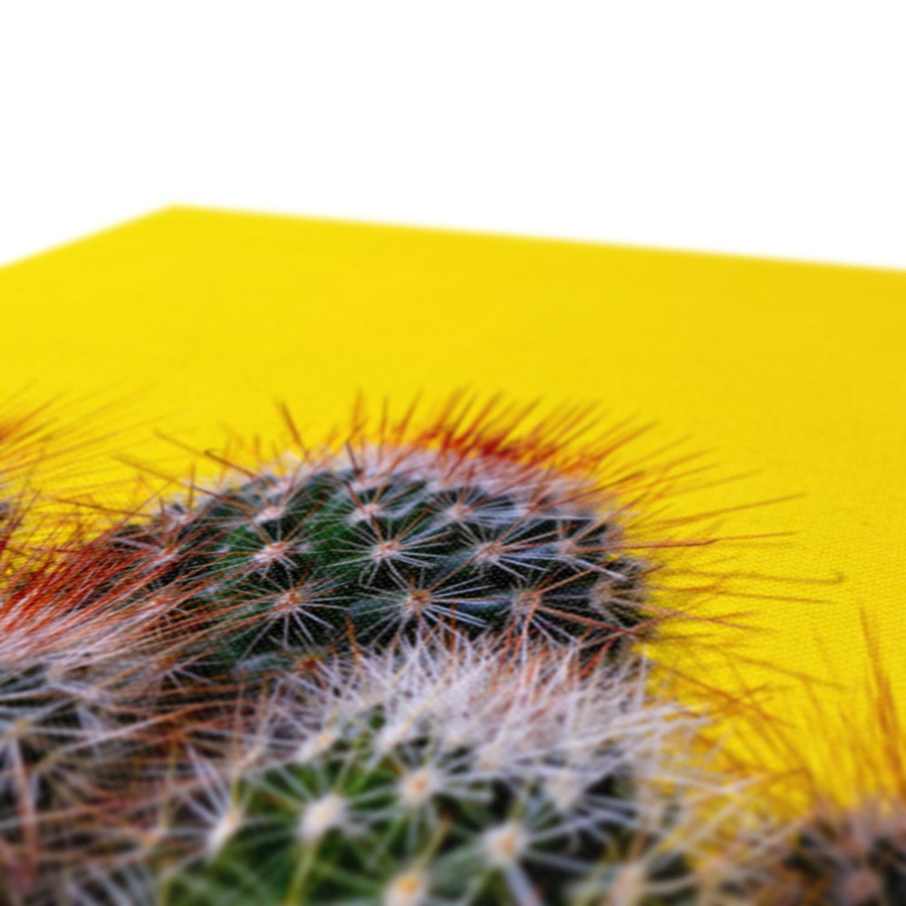 Cactus Serenity Strokes Canvas