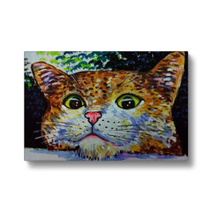 Precious Orange Cat Canvas