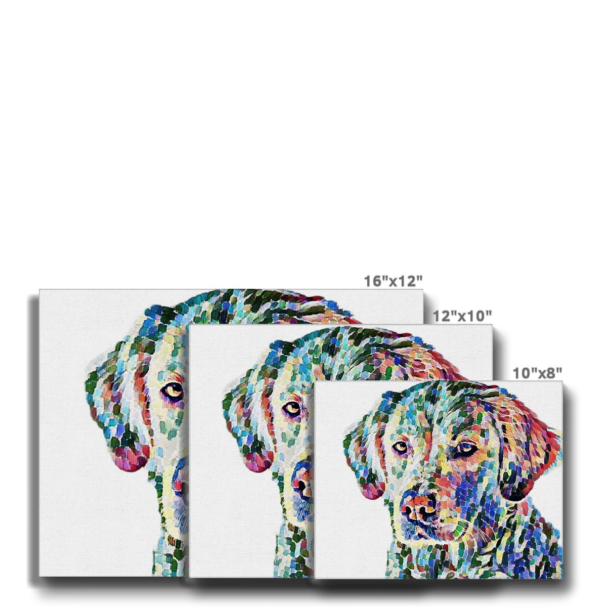 Multi-Color Retriever Portrait Canvas