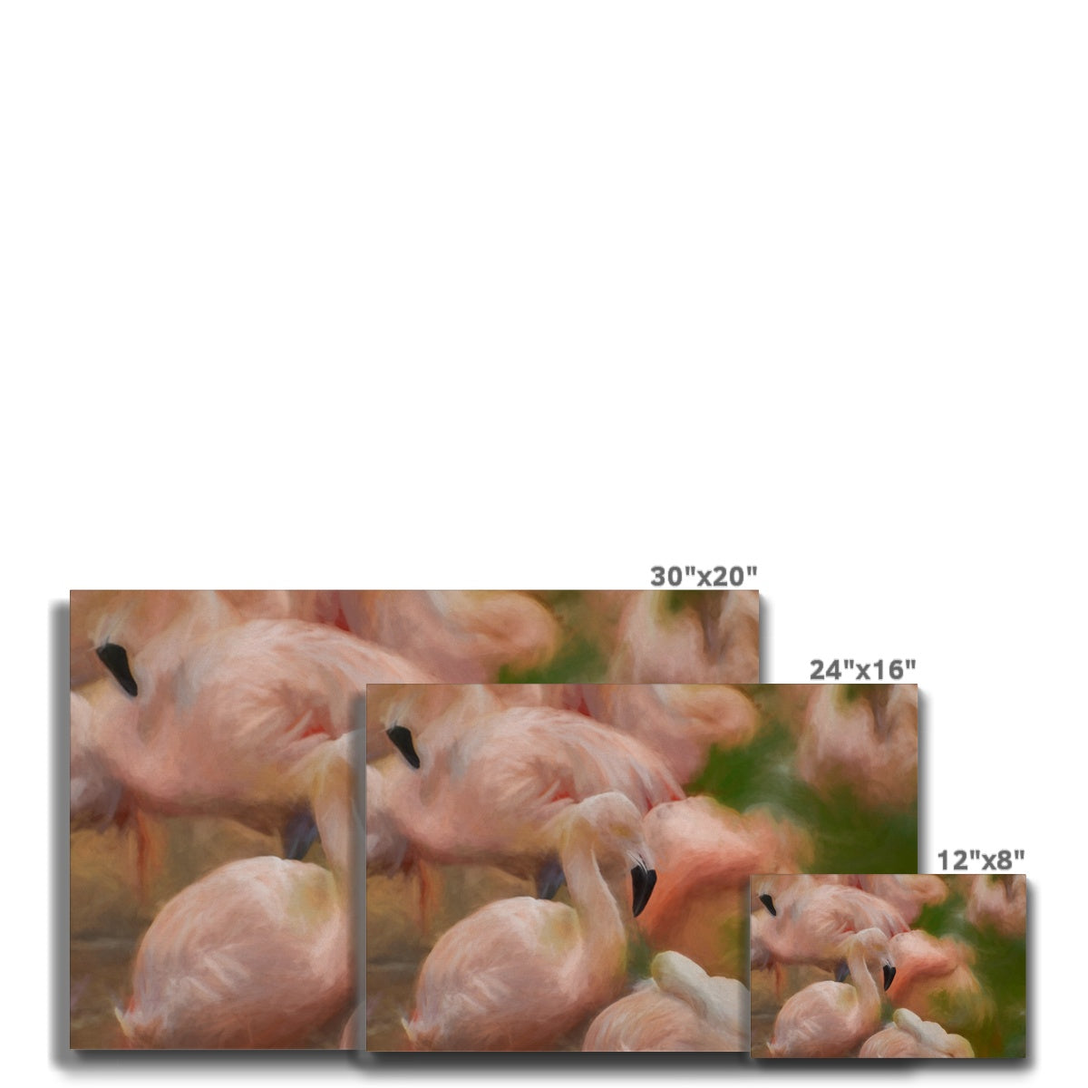 Flamingos Oil Painting Canvas