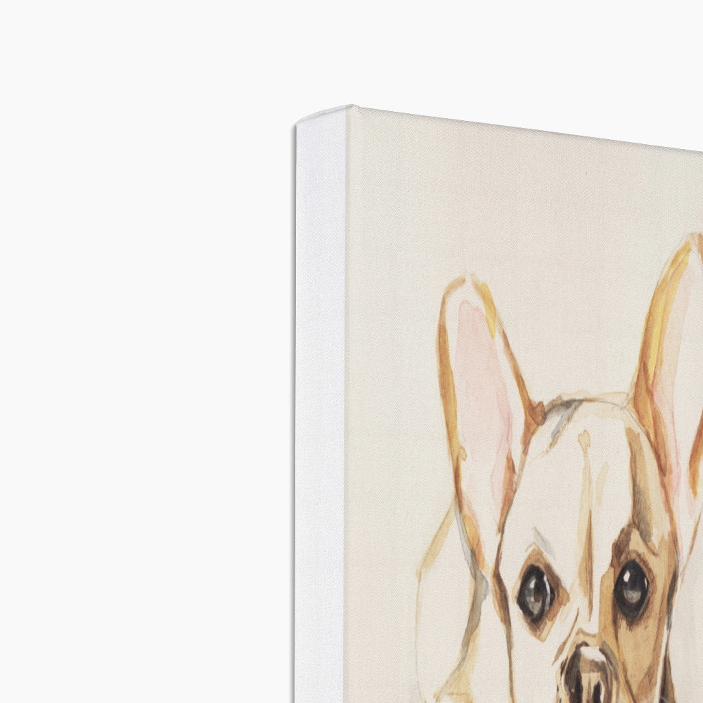 Light Brown Chihuahua Illustration Canvas