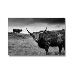 Ethereal Highland Cow Beauty Canvas